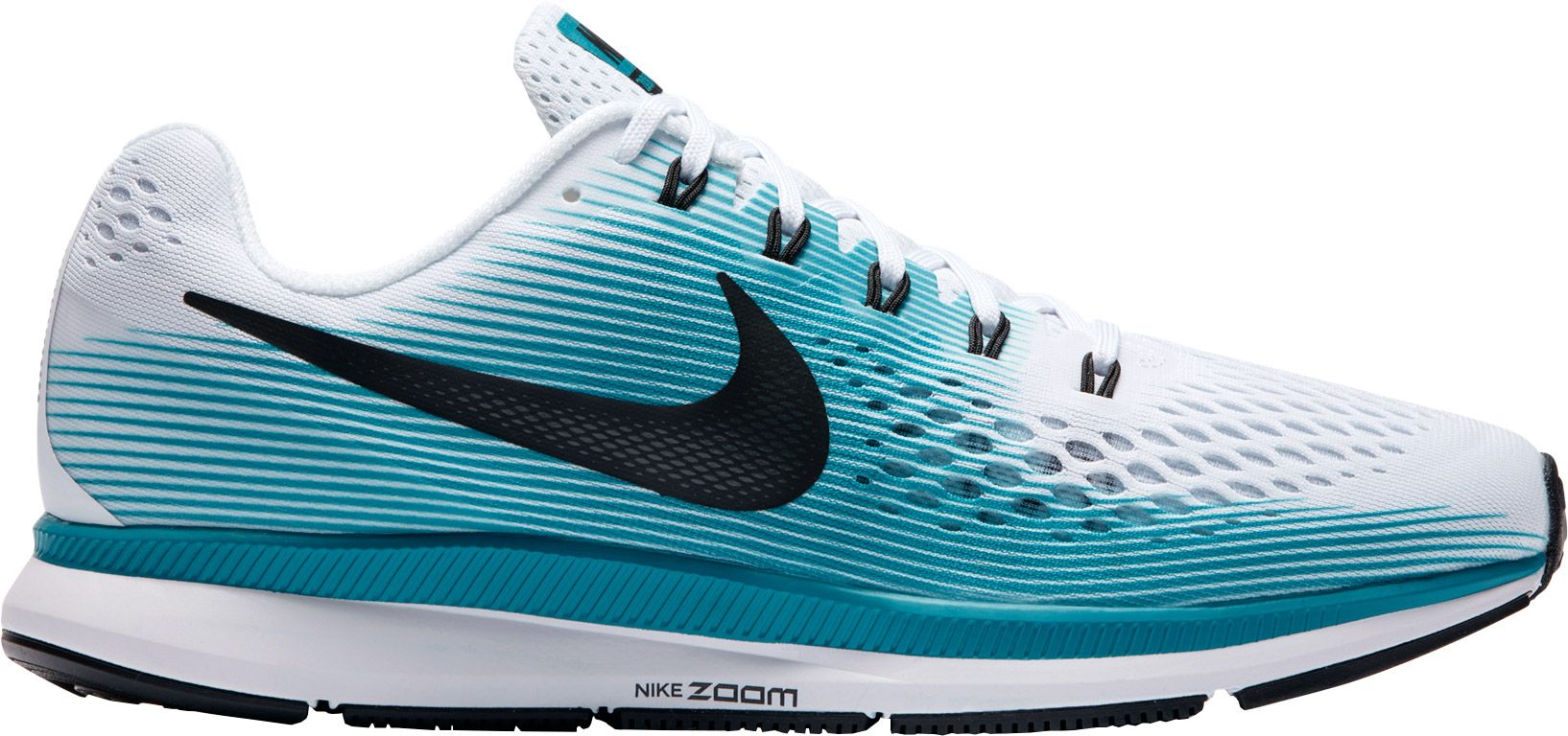 dicks sporting goods nike pegasus